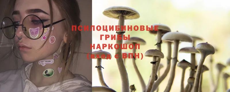 как найти закладки  Геленджик  Галлюциногенные грибы MAGIC MUSHROOMS 